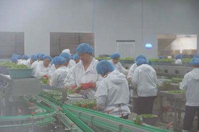 數(shù)字經(jīng)濟(jì)浪潮下的食品互聯(lián)網(wǎng)銷售 中國(guó)人民大學(xué)應(yīng)用經(jīng)濟(jì)學(xué)院的學(xué)術(shù)洞察與實(shí)踐路徑