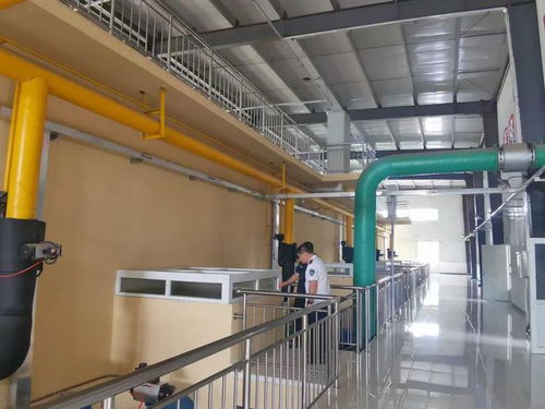 防汛保民生，飲水更無(wú)憂(yōu)——白溝新城民生保障局全力筑牢供水安全防線