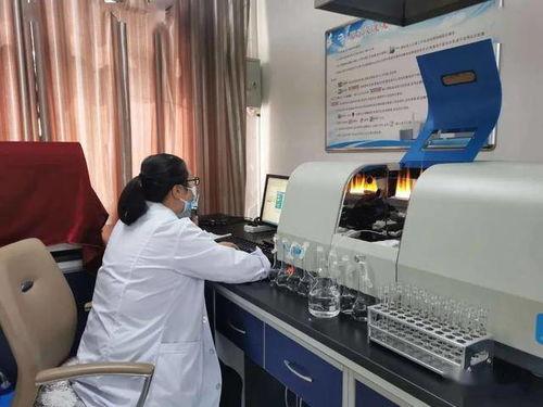 民樂縣水務(wù)局強化行業(yè)監(jiān)管，筑牢農(nóng)村飲水安全基石——聚焦集中式供水保障