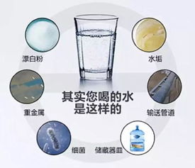 茂名市農村地區水質檢測指南 守護飲水安全，了解專業檢測單位